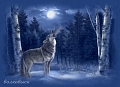 photo-avatar