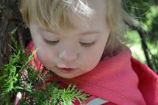 ������� att-4e515937d8e453151.jpg